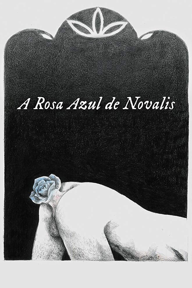 A Rosa Azul de Novalis | A Rosa Azul de Novalis