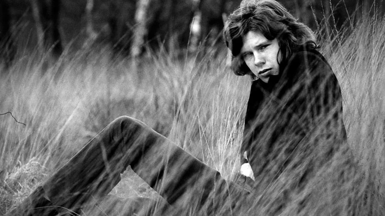 A Skin Too Few: The Days of Nick Drake|A Skin Too Few: The Days of Nick Drake