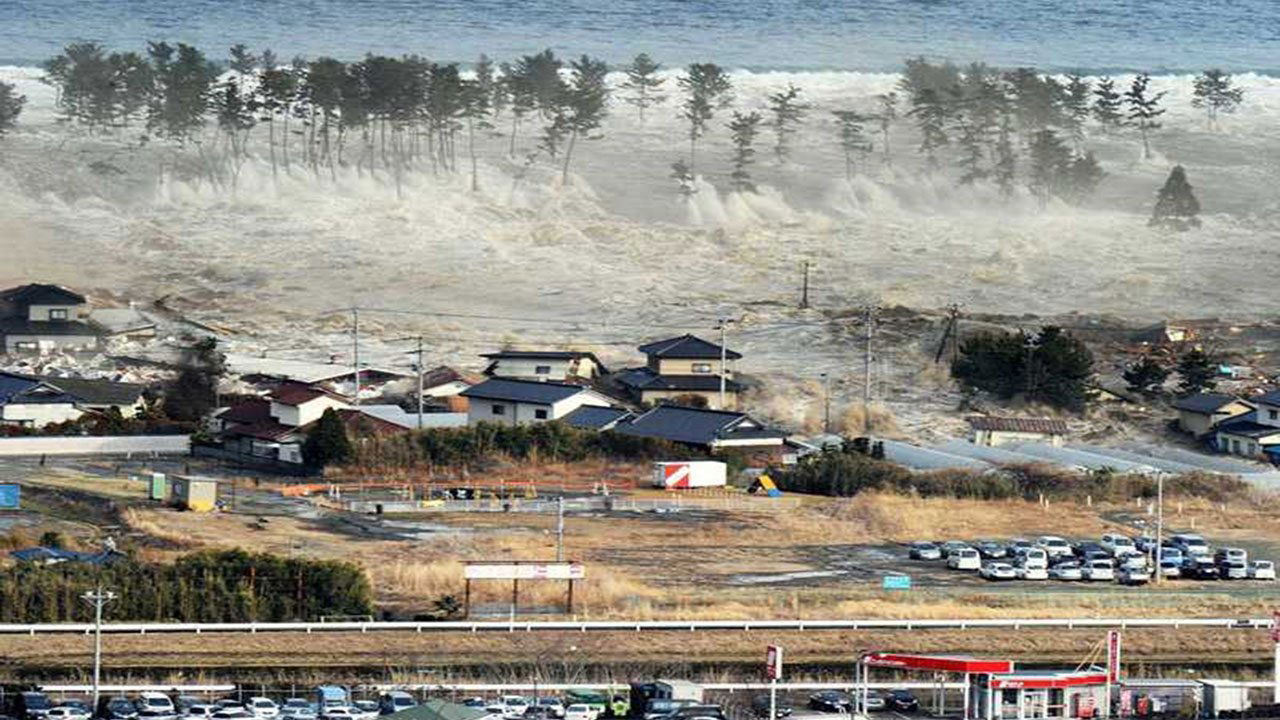 Witness: Disaster in Japan|Witness: Disaster in Japan