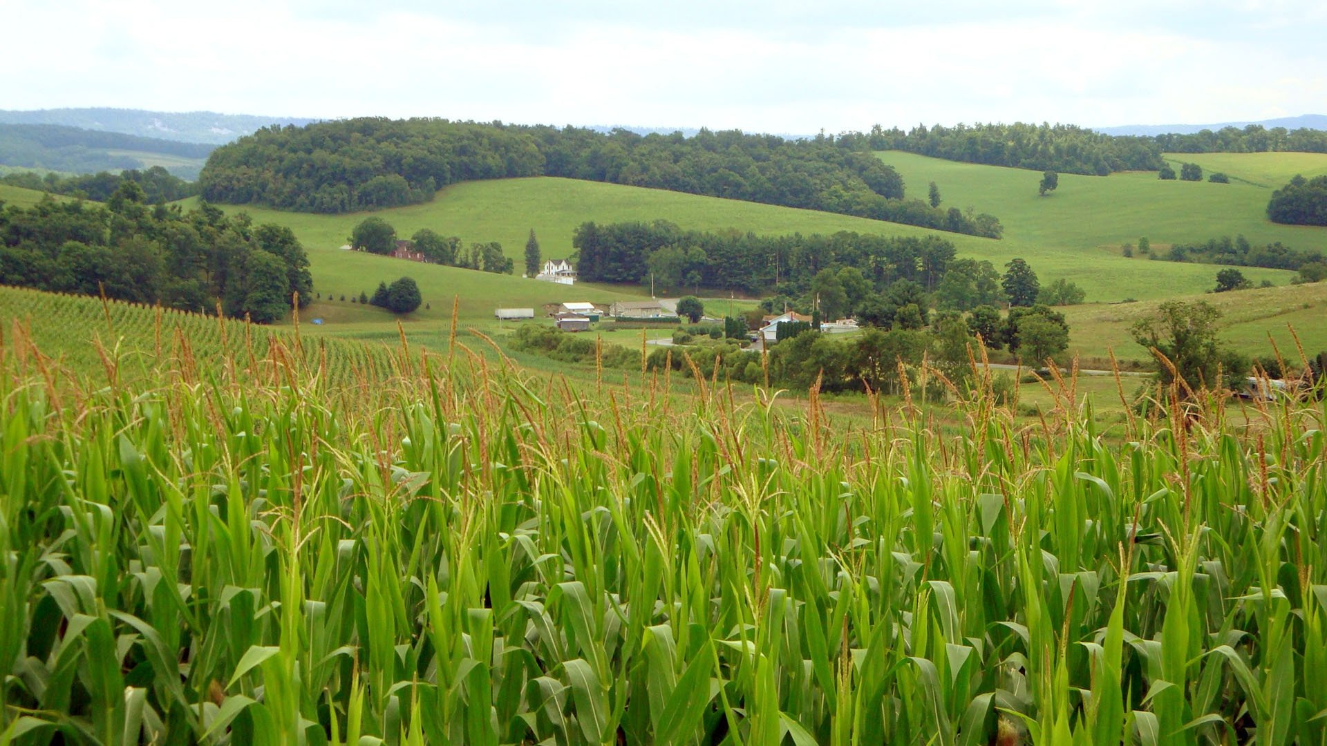 Le Monde selon Monsanto|Le Monde selon Monsanto