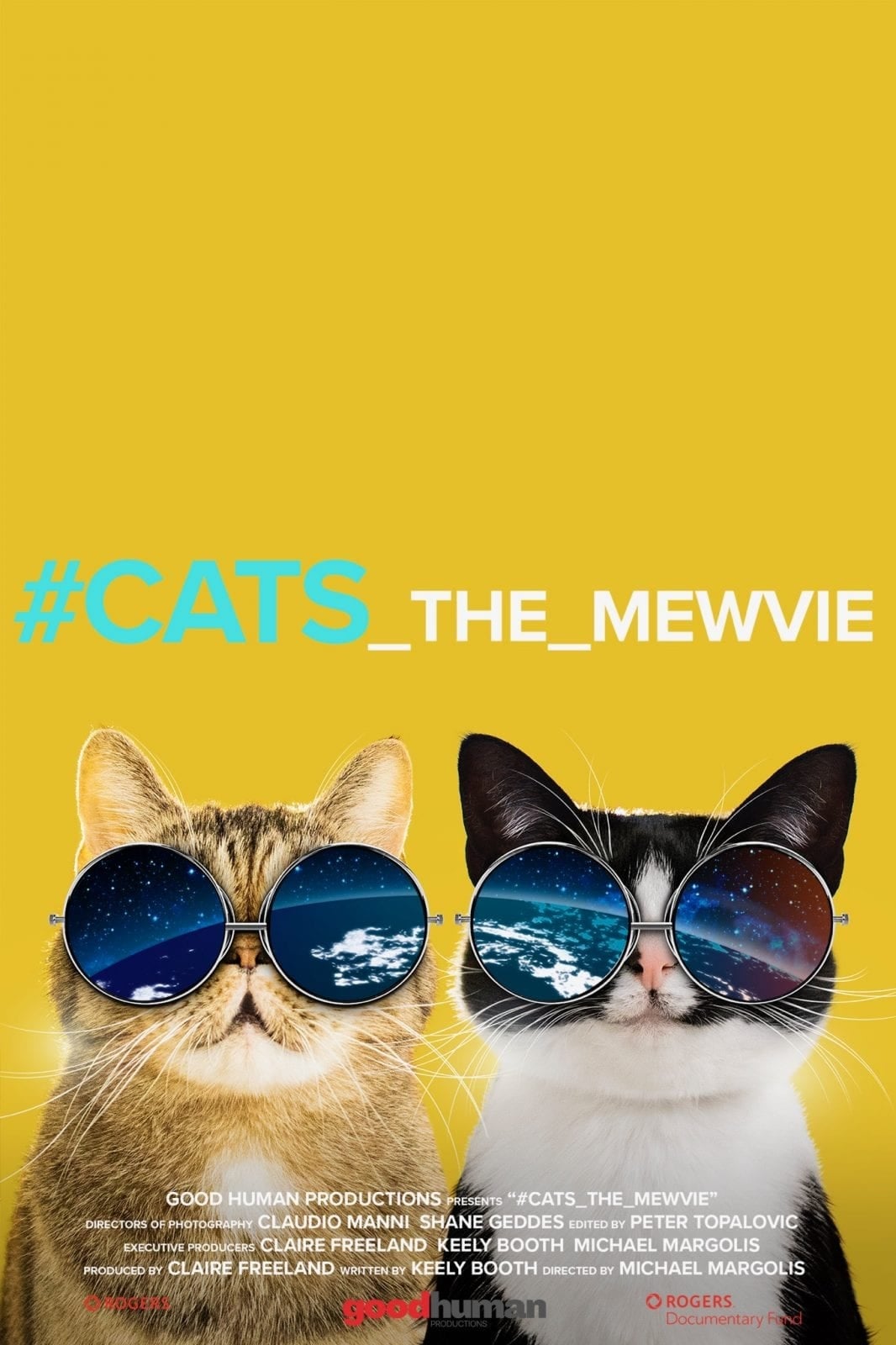 #cats_the_mewvie | #cats_the_mewvie