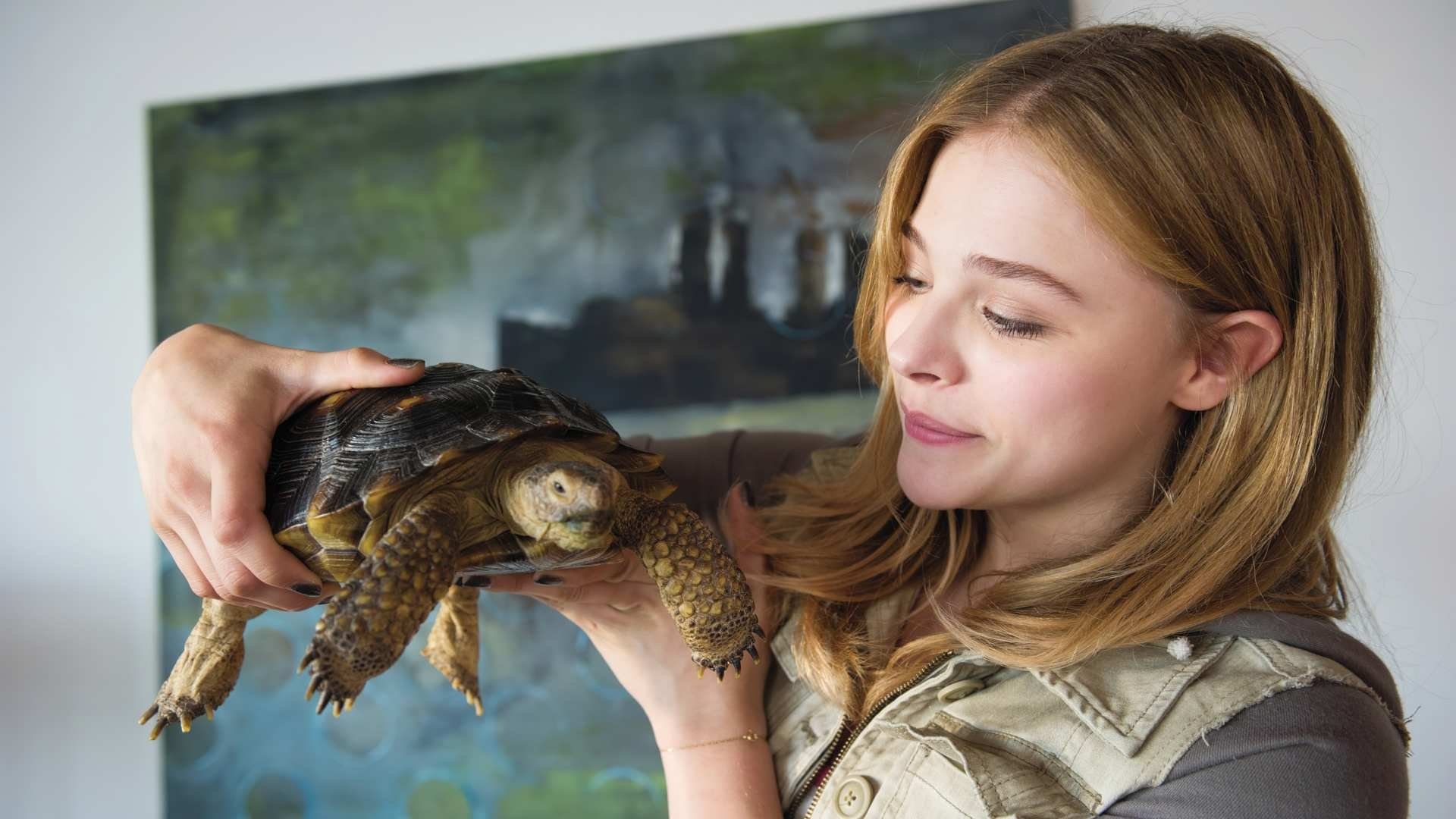Laggies|Laggies