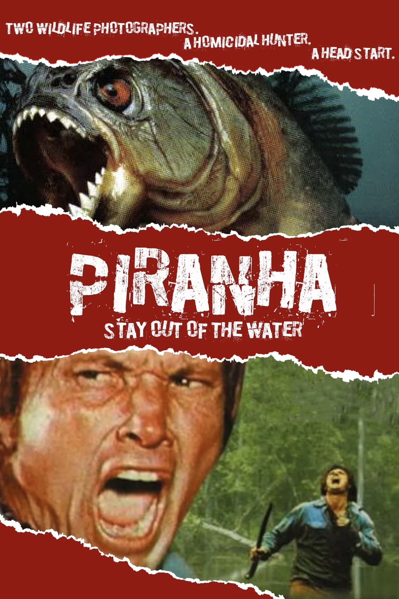 Piranha | Piranha