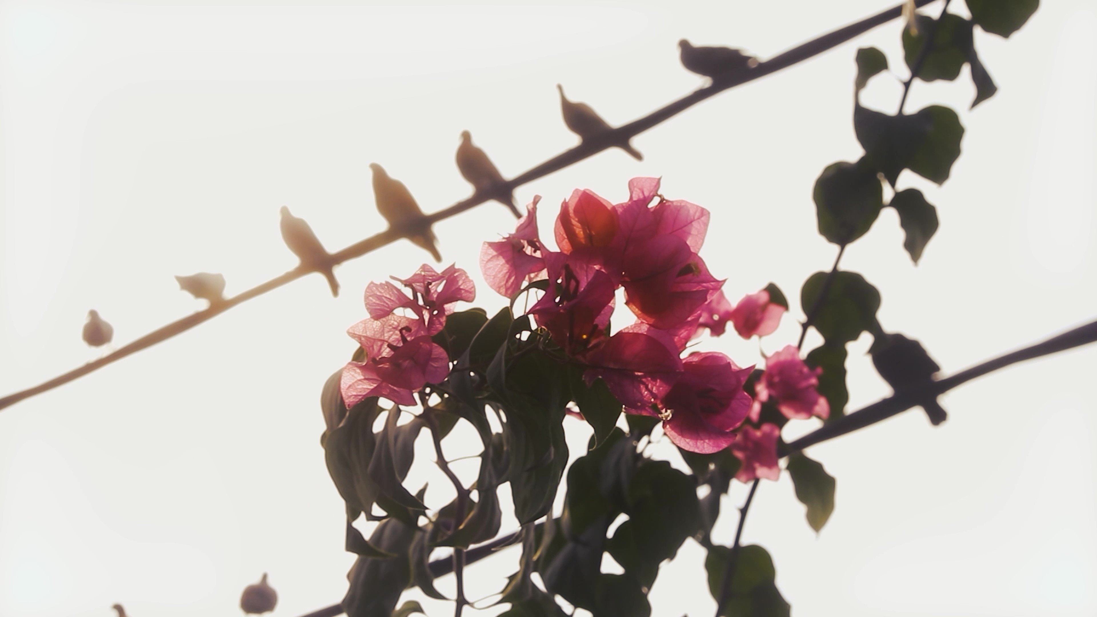 Out of Time|Out of Time
