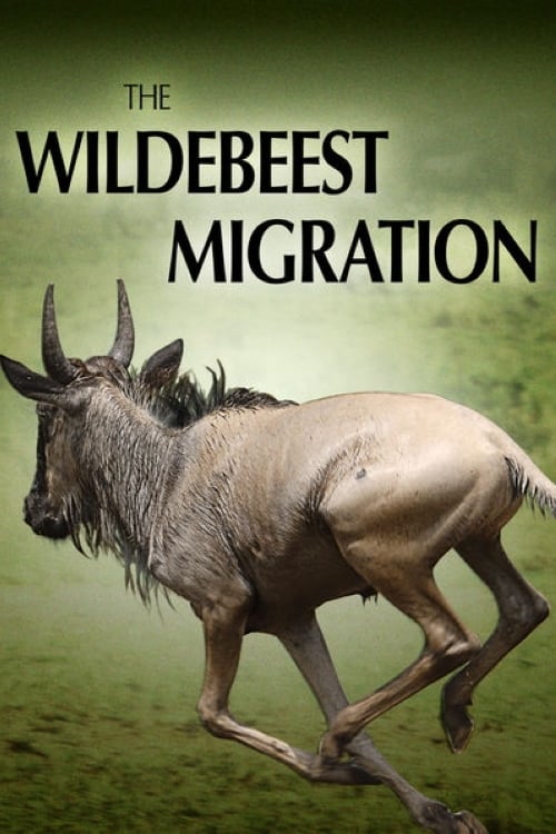 The Wildebeest Migration: Nature's Greatest Journey | The Wildebeest Migration: Nature's Greatest Journey