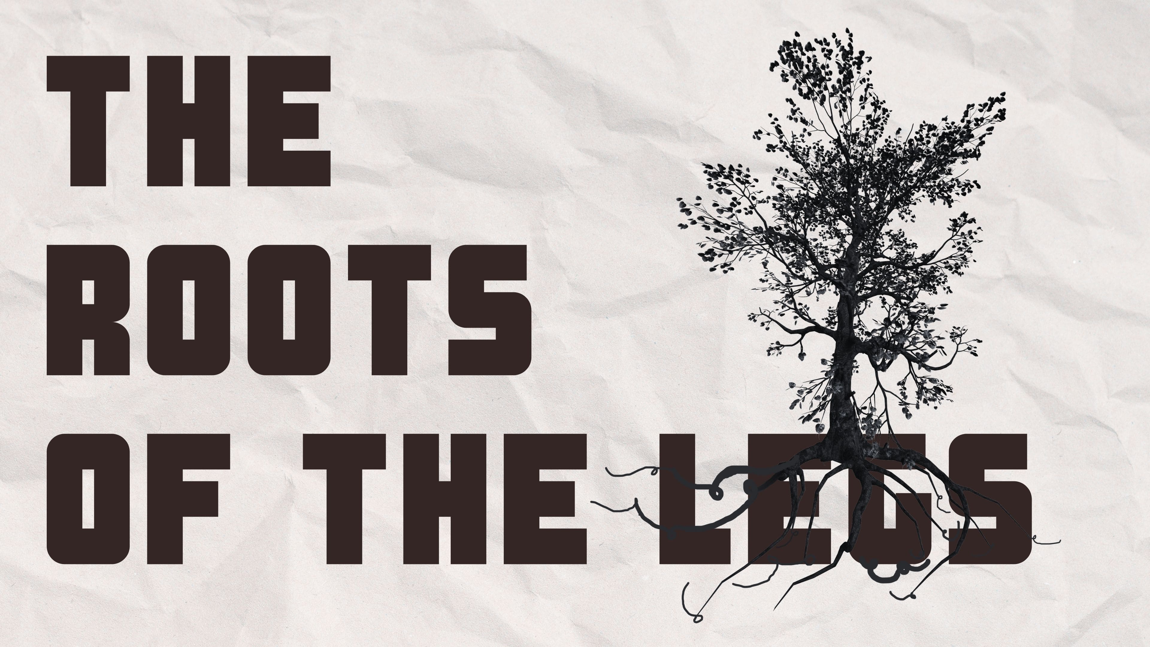 THE ROOTS OF THE LEGS|THE ROOTS OF THE LEGS