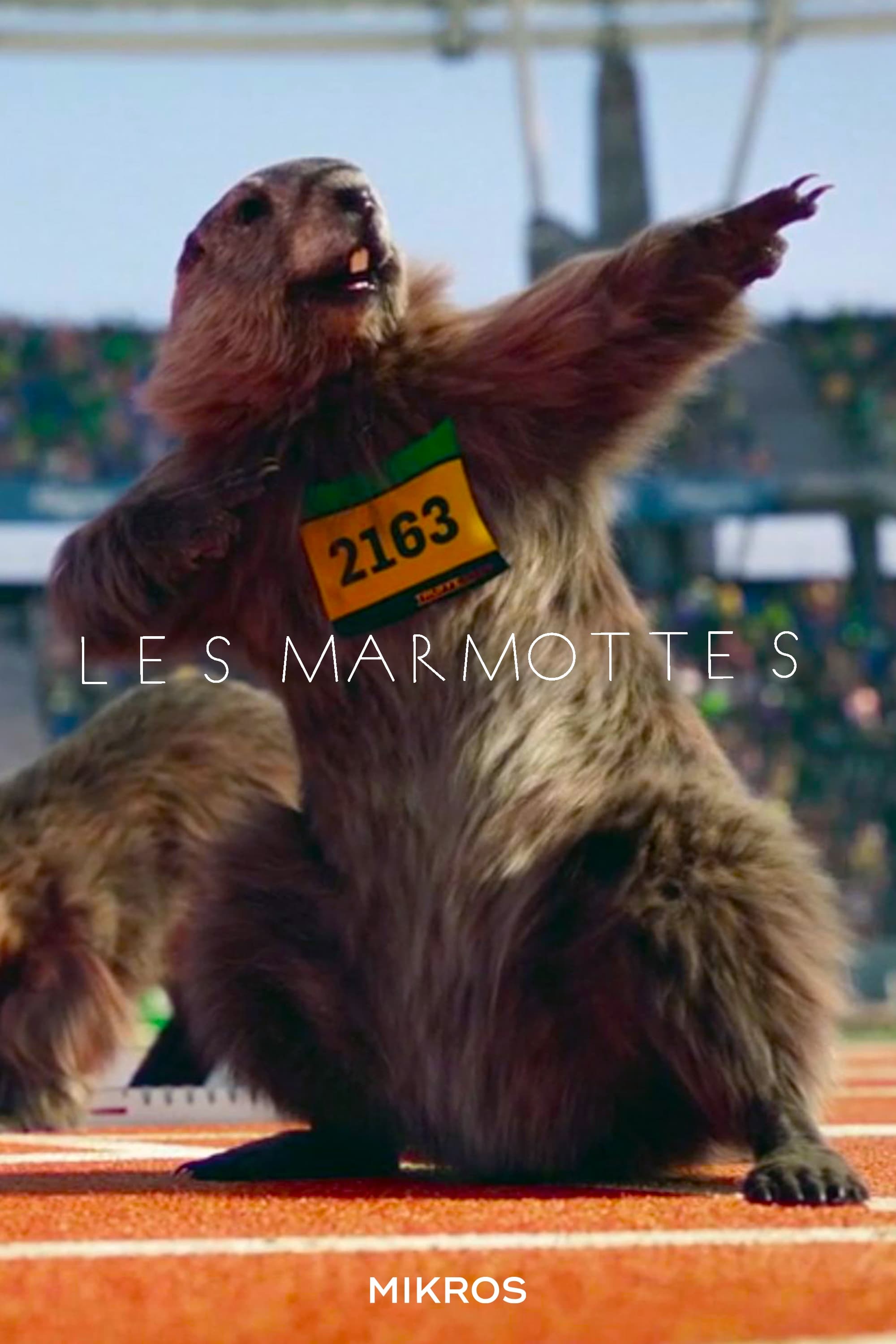 Les Marmottes | Les Marmottes