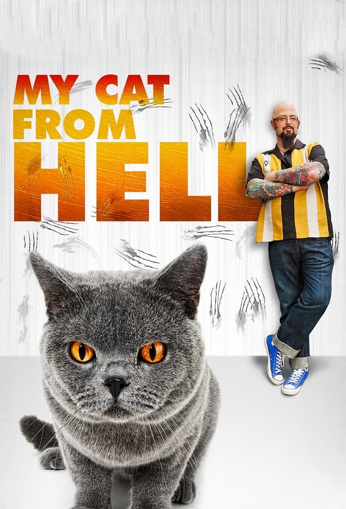 My Cat from Hell | My Cat from Hell