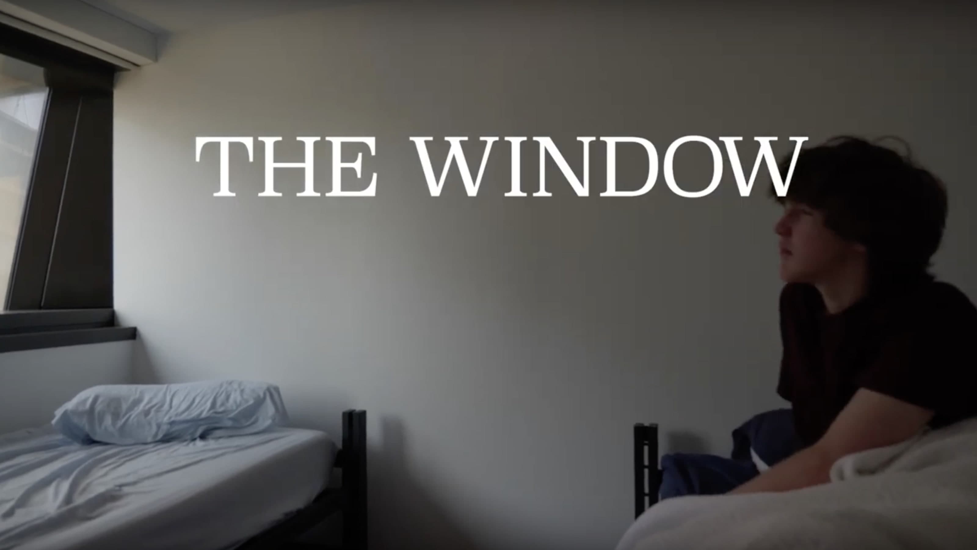 The Window|The Window