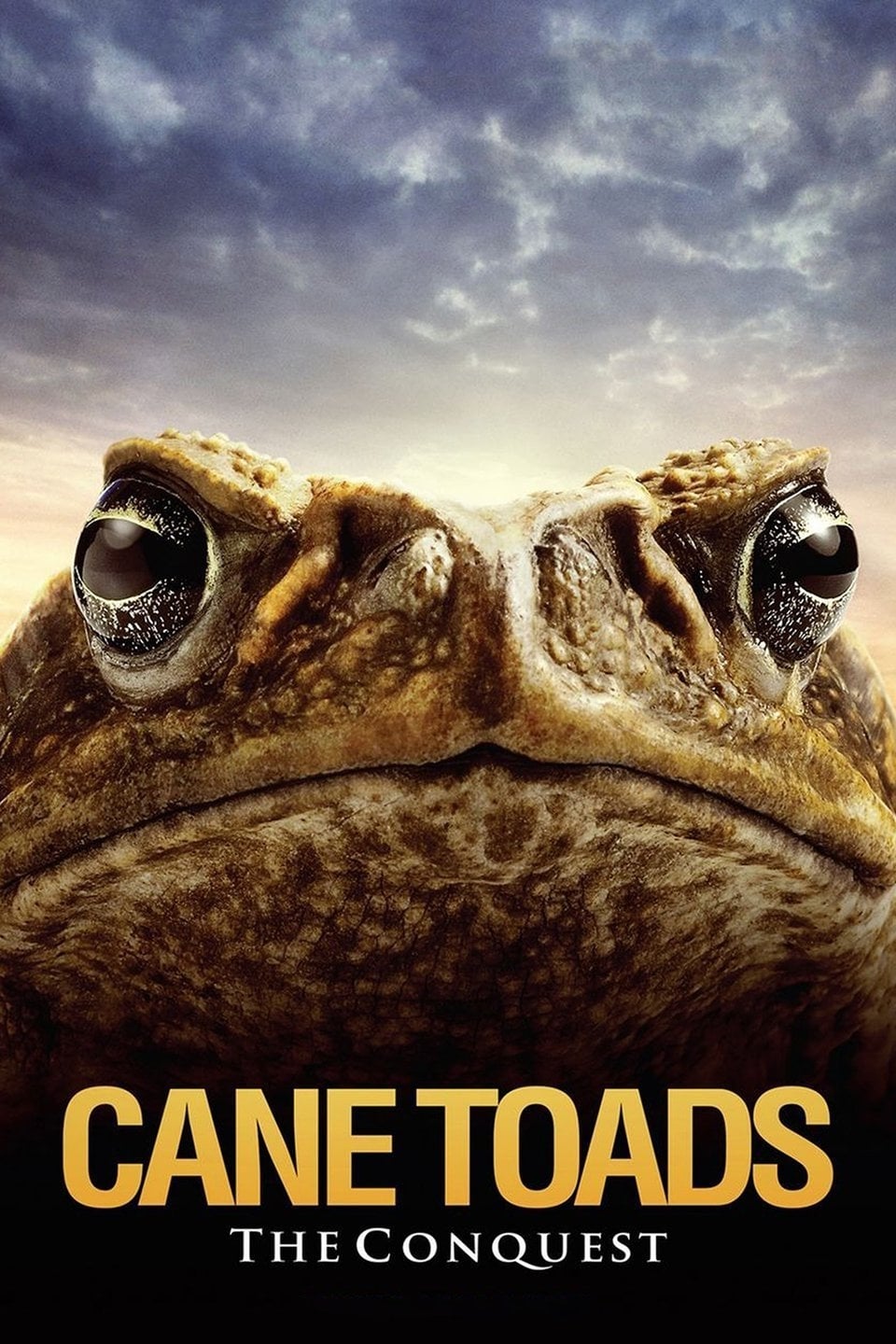 Cane Toads: The Conquest | Cane Toads: The Conquest