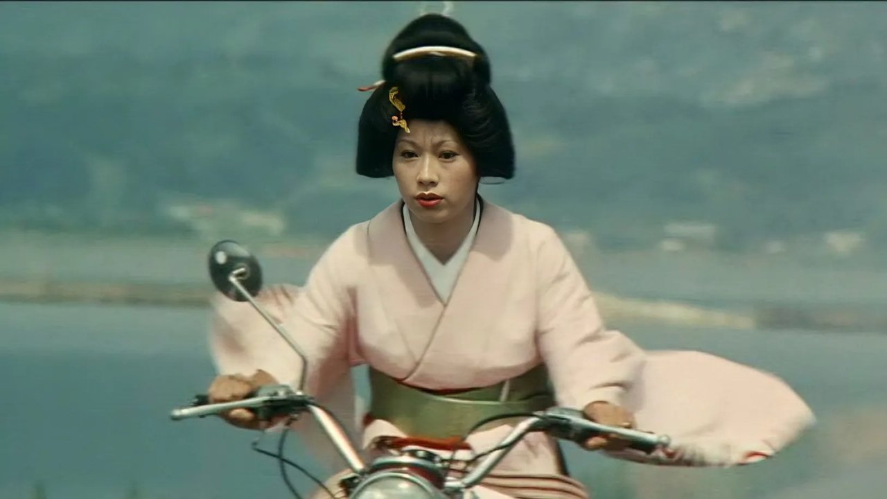 温泉スッポン芸者|温泉スッポン芸者