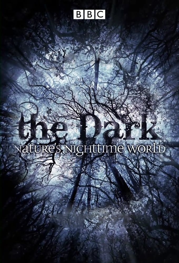 The Dark: Nature's Nighttime World | The Dark: Nature's Nighttime World