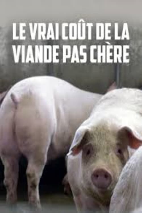 Le vrai coût de la viande pas chère | Le vrai coût de la viande pas chère