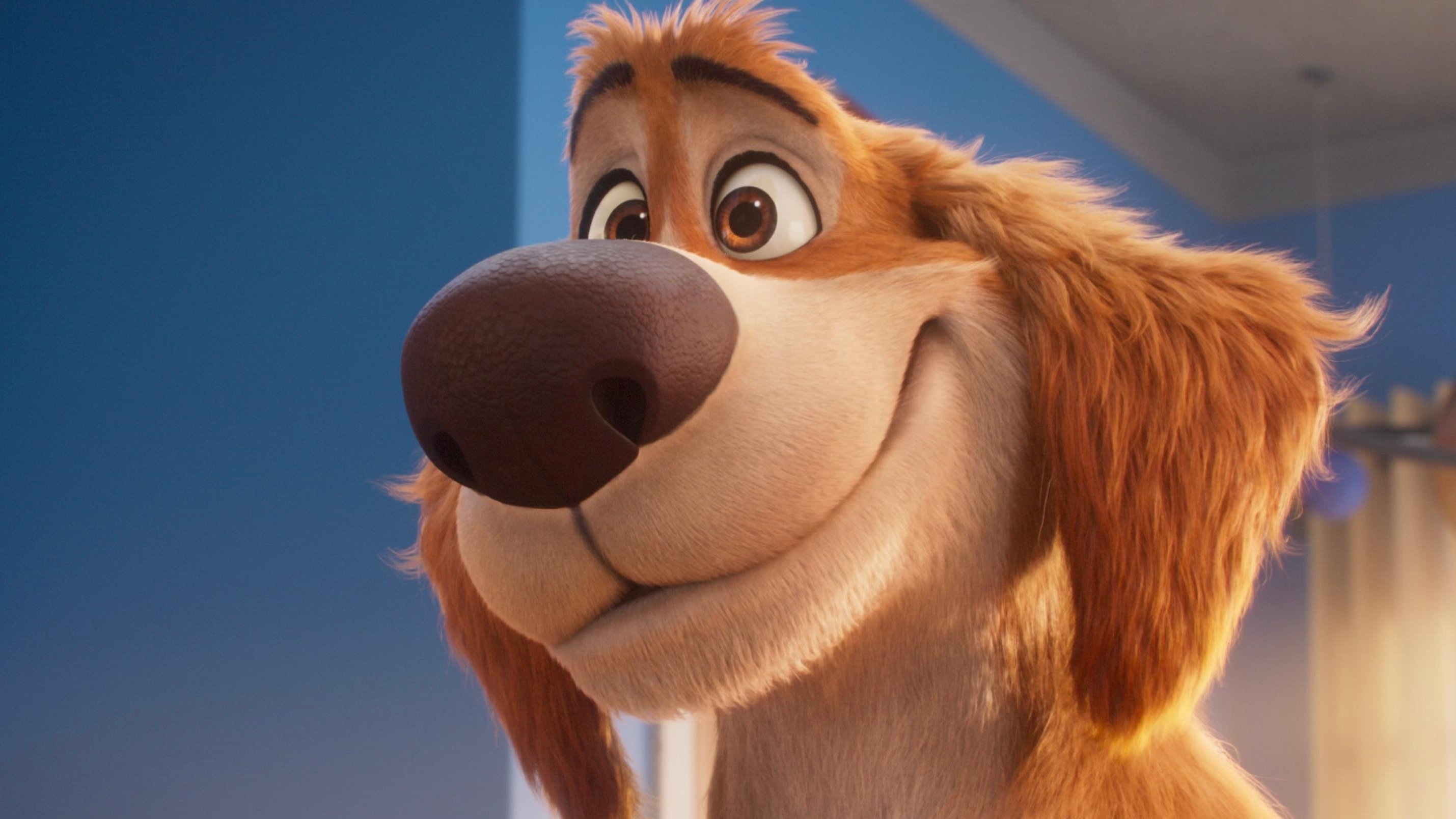 Charlie the Wonderdog|Charlie the Wonderdog