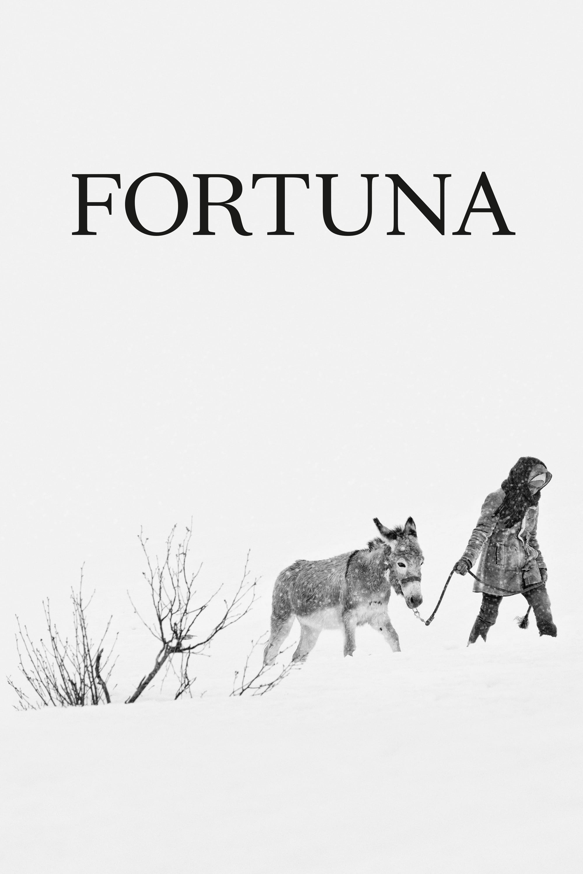 Fortuna | Fortuna