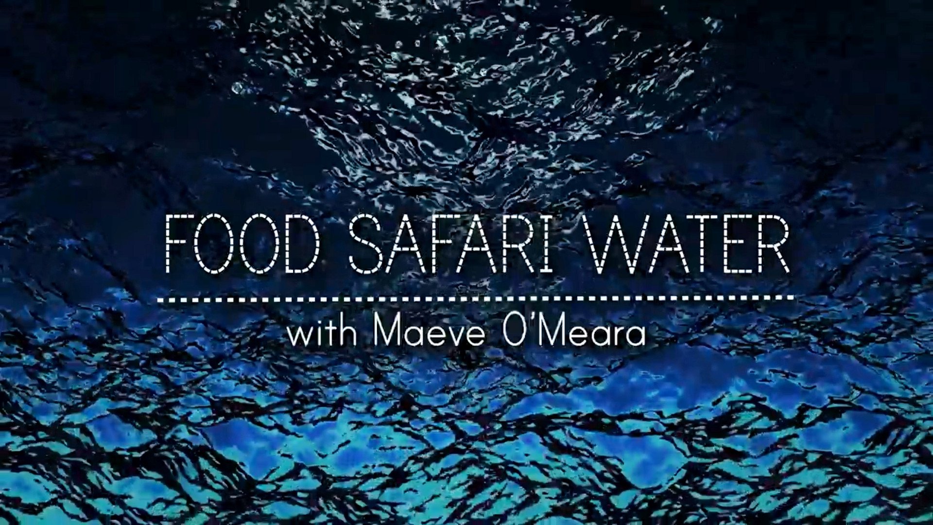 Food Safari Water|Food Safari Water
