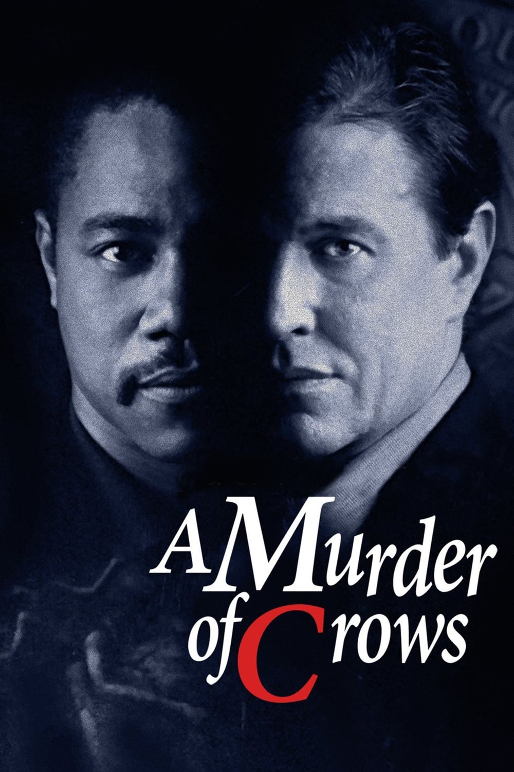 A Murder of Crows | A Murder of Crows