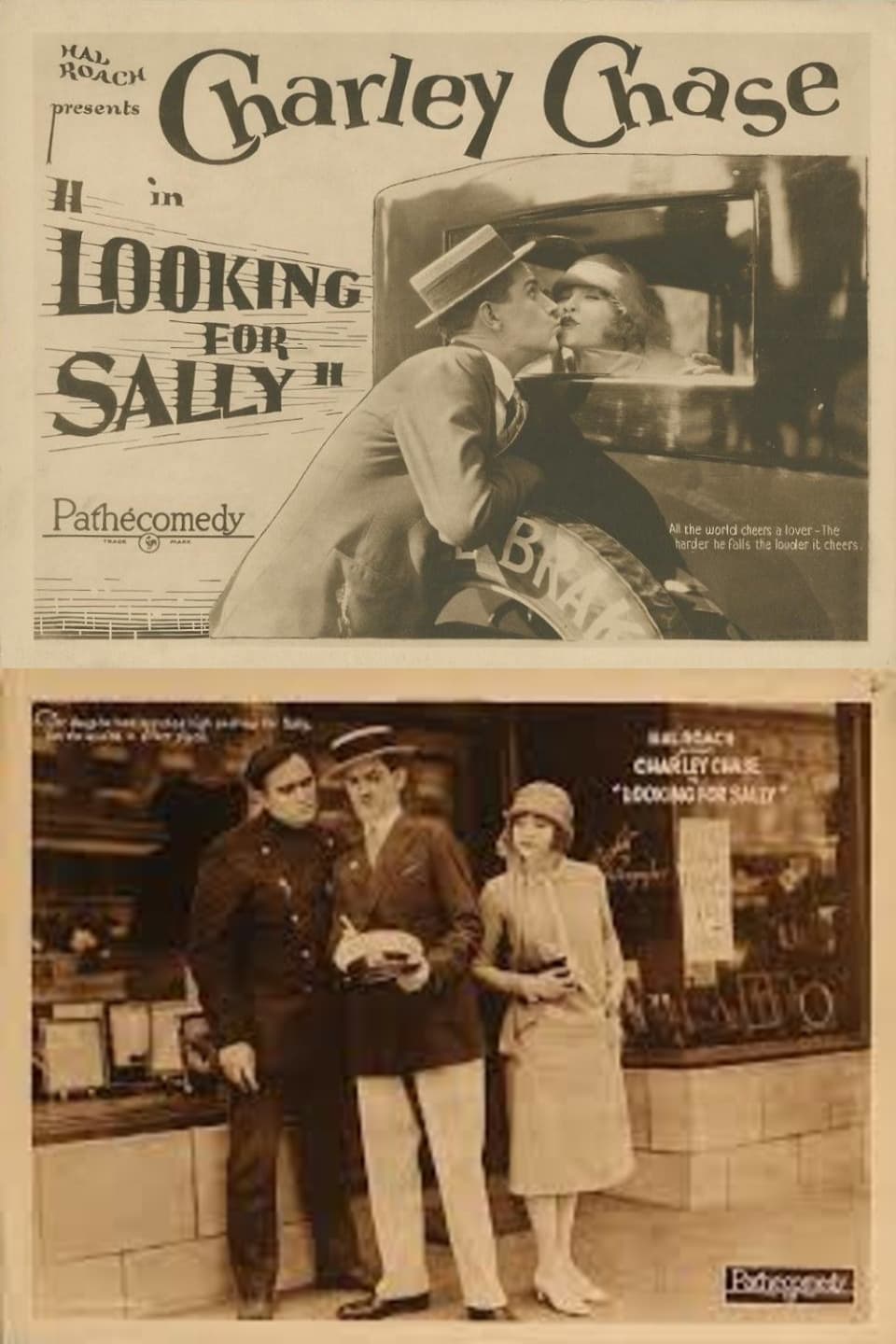 Looking for Sally | Looking for Sally