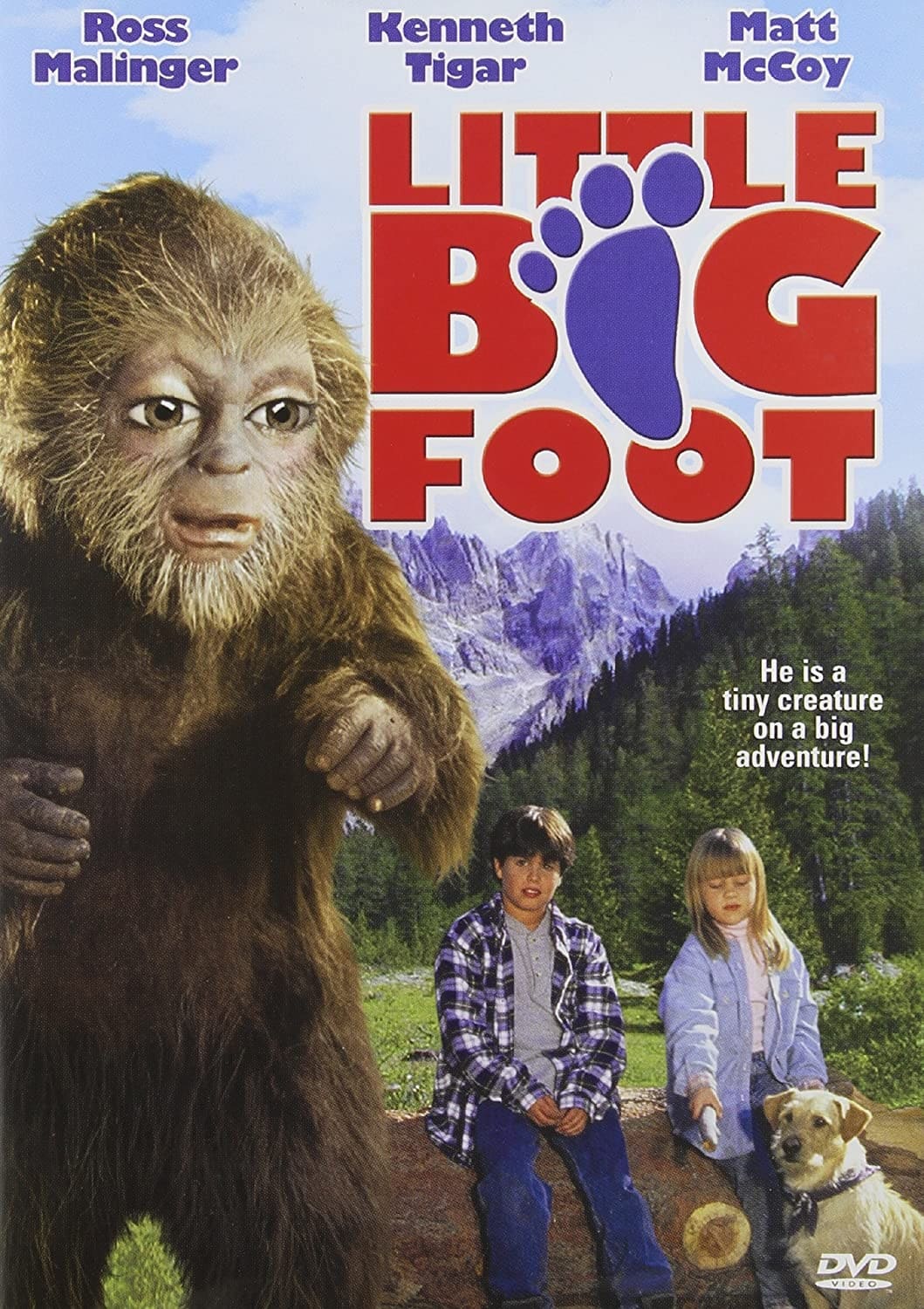 Little Bigfoot | Little Bigfoot