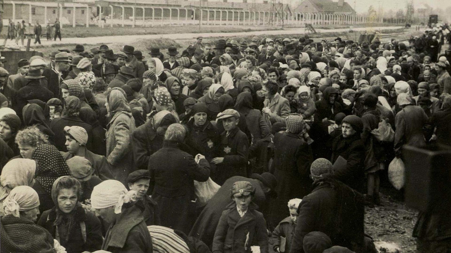 Ein Tag in Auschwitz|Ein Tag in Auschwitz