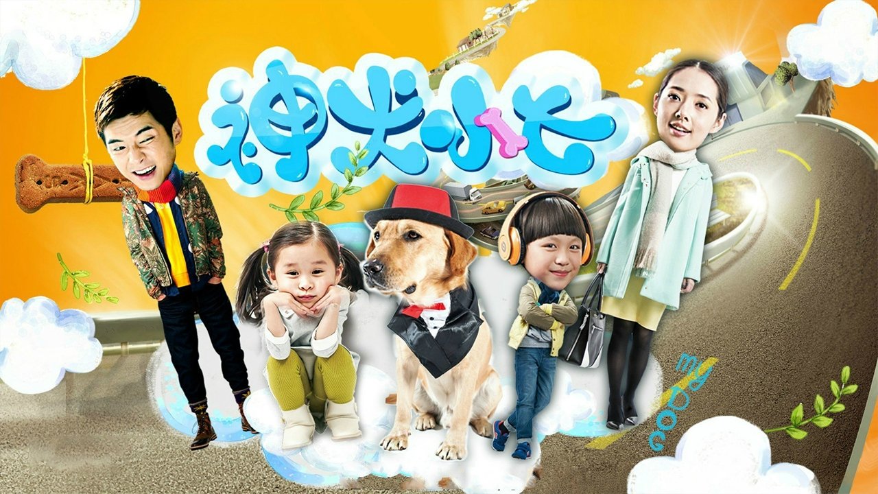 神犬小七|神犬小七