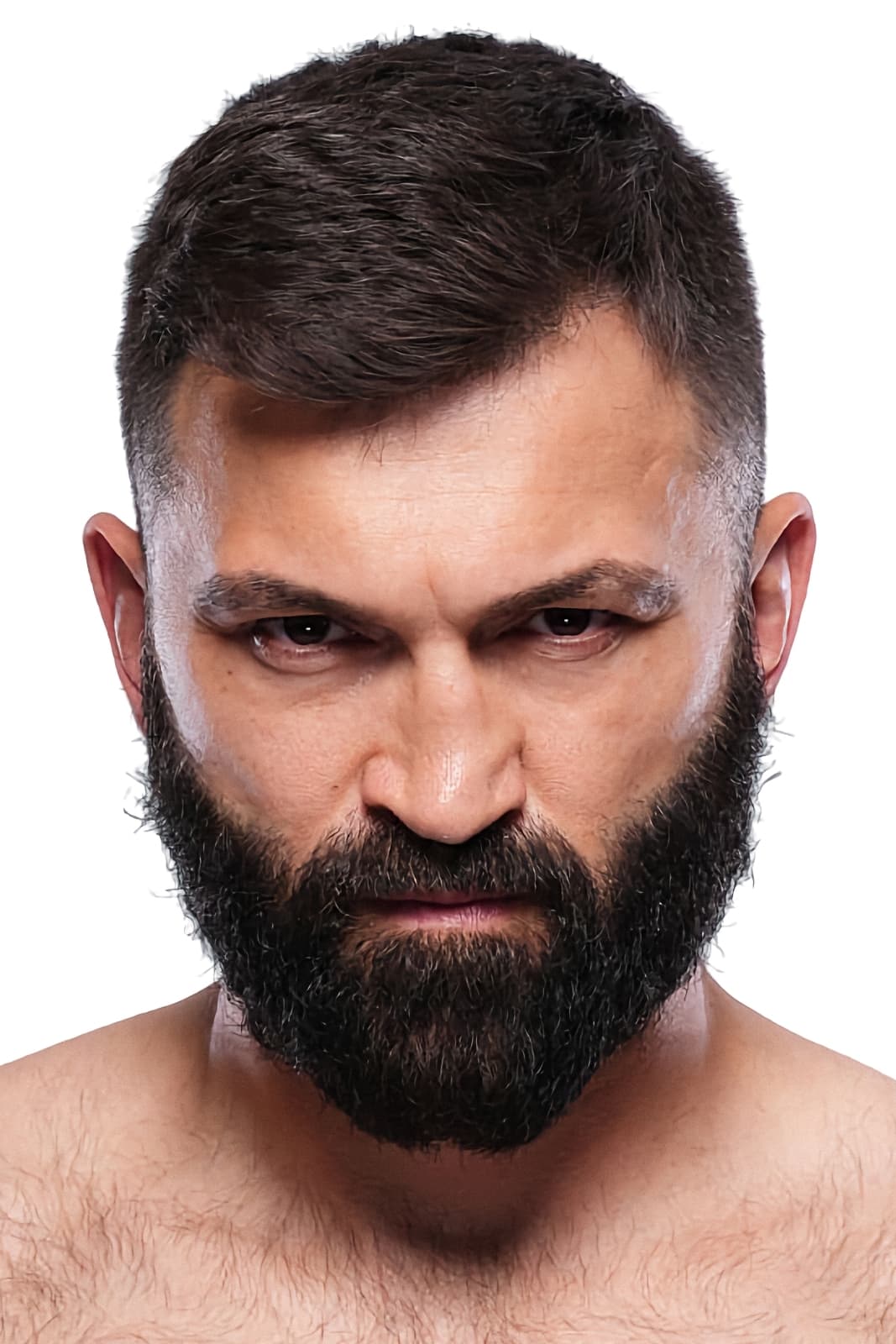 بازیگر Andrei Arlovski  