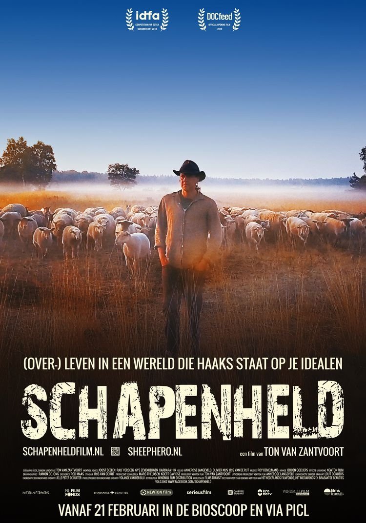 Schapenheld | Schapenheld