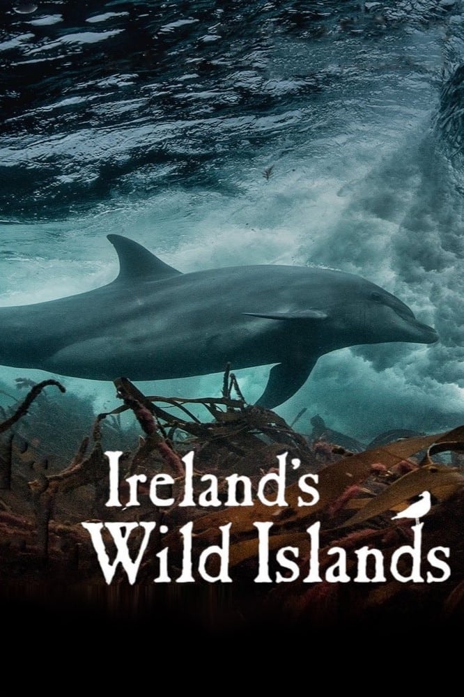 Ireland's Wild Islands | Ireland's Wild Islands