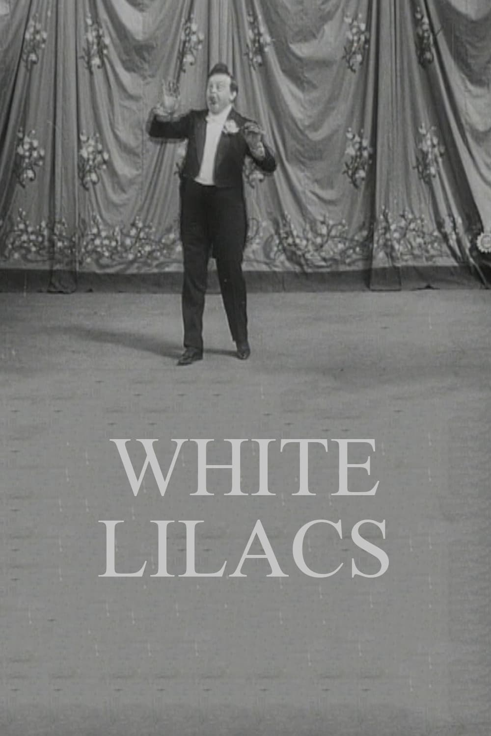 Lilas blanc