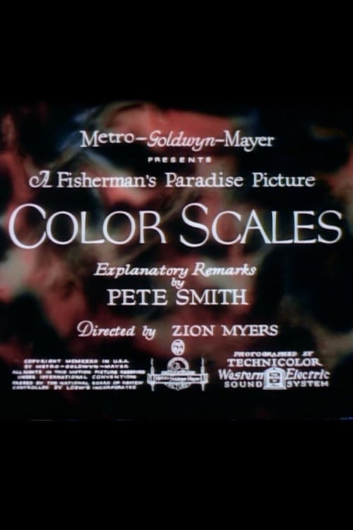 Color Scales | Color Scales