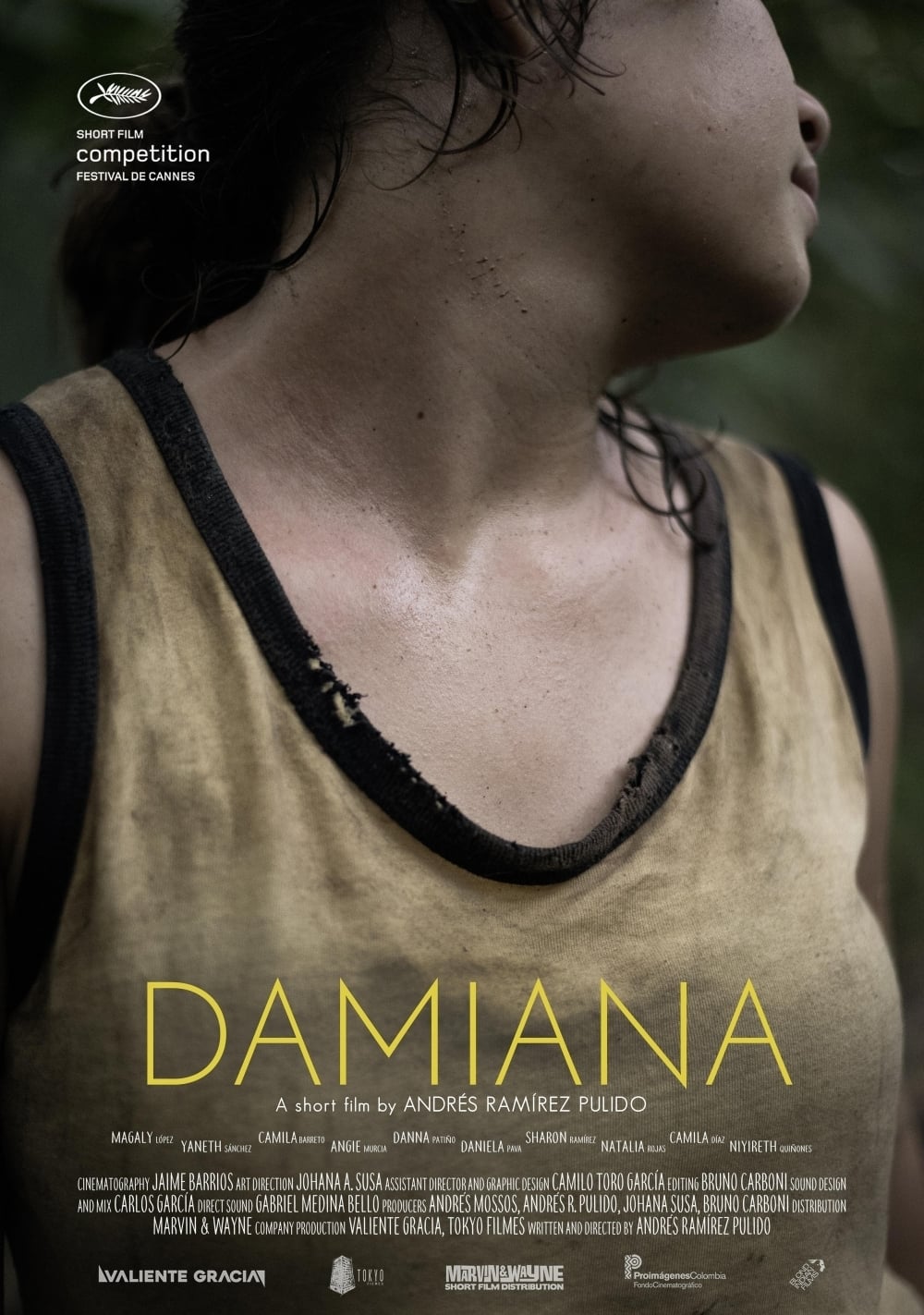 Damiana | Damiana