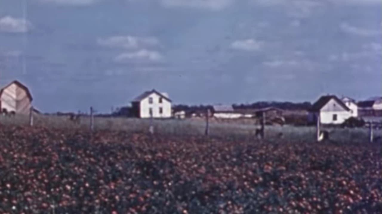 Sainte Anne de Roquemaure: Un épilogue à En pays neufs|Sainte Anne de Roquemaure: Un épilogue à En pays neufs