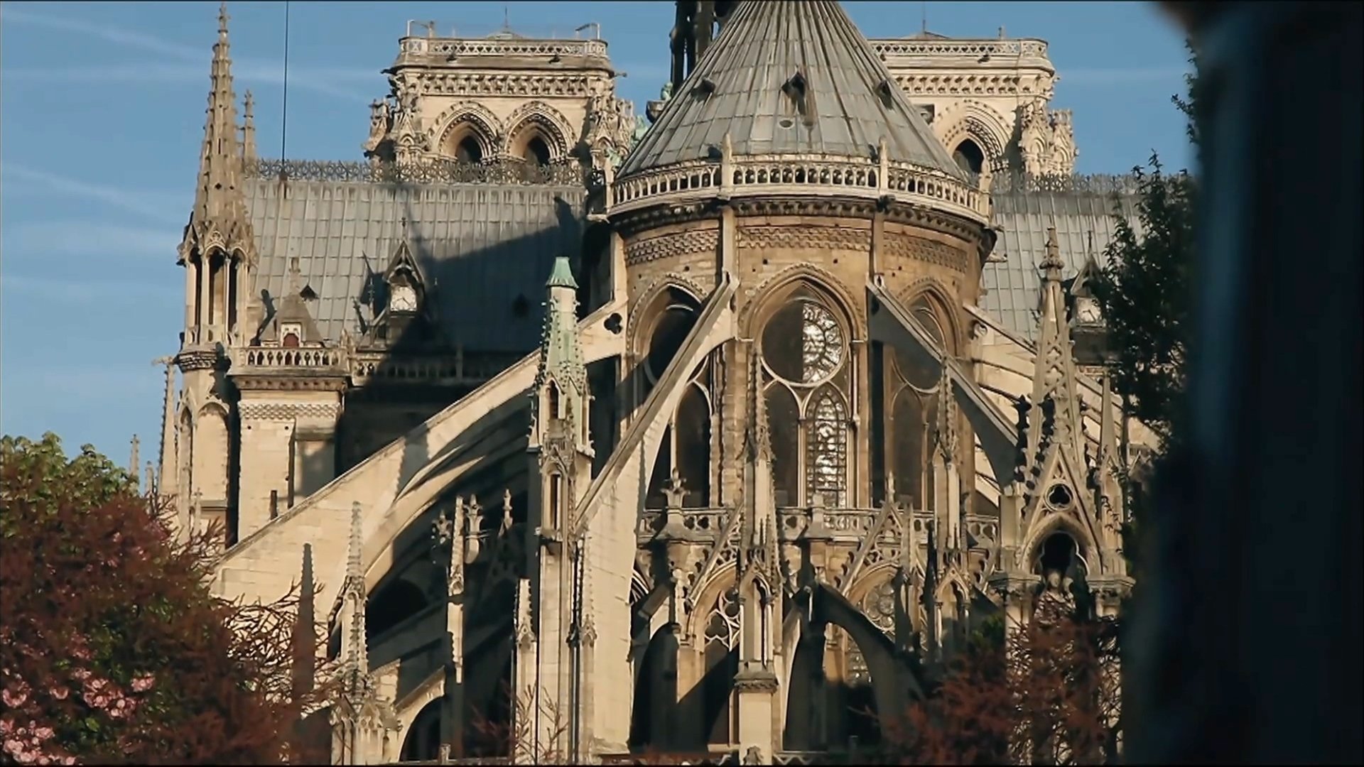 Paris Revealed|Paris Revealed