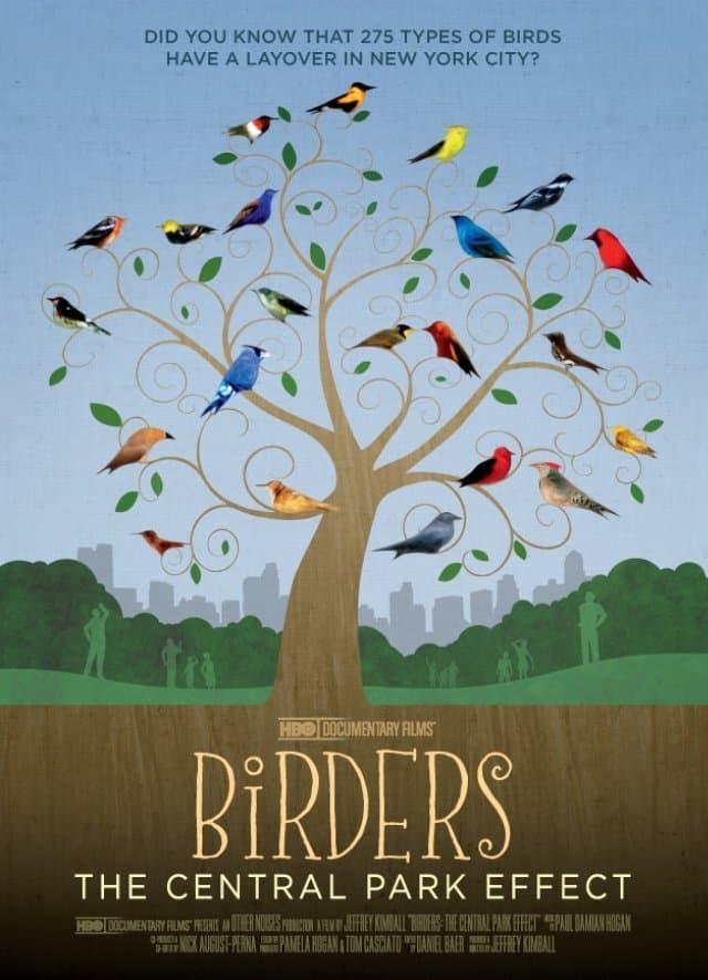 Birders: The Central Park Effect | Birders: The Central Park Effect