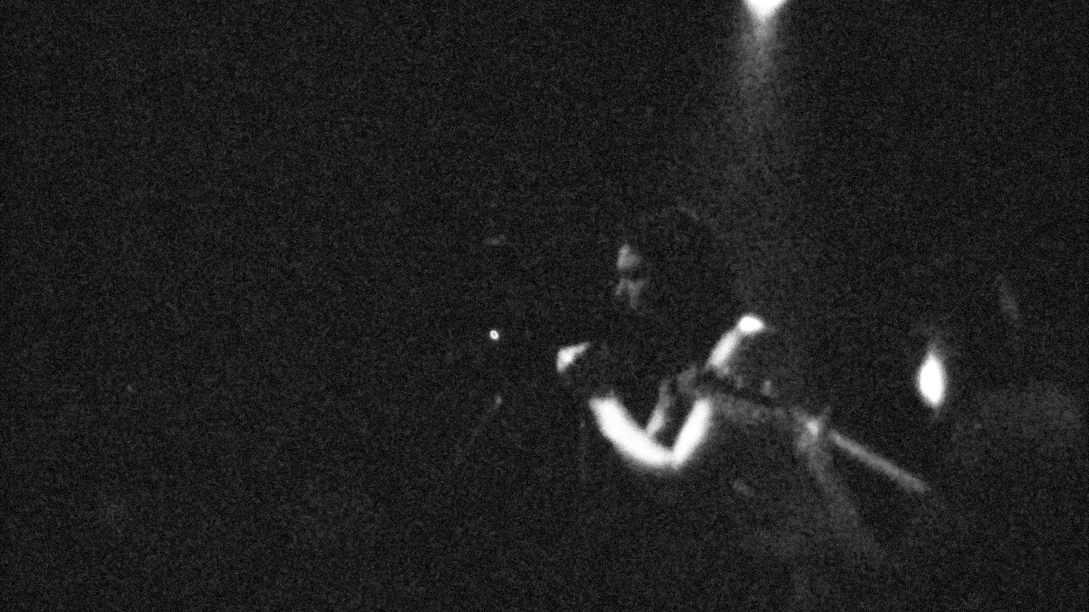 The Butthole Surfers Film|The Butthole Surfers Film