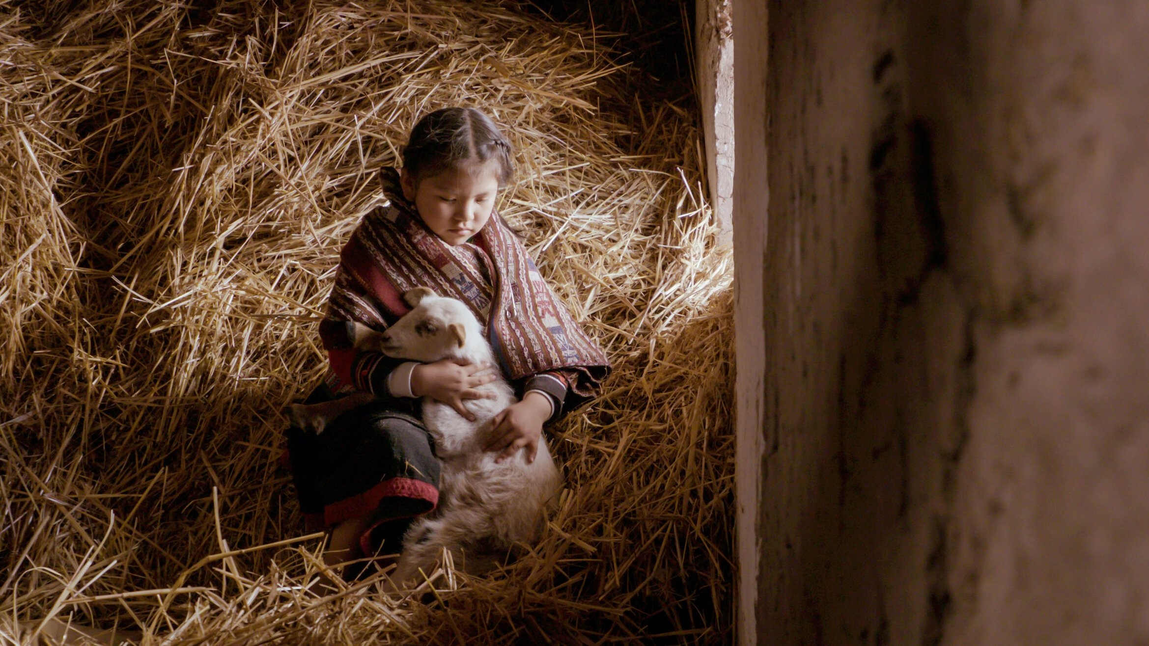 Mama Irene, Healer of the Andes|Mama Irene, Healer of the Andes