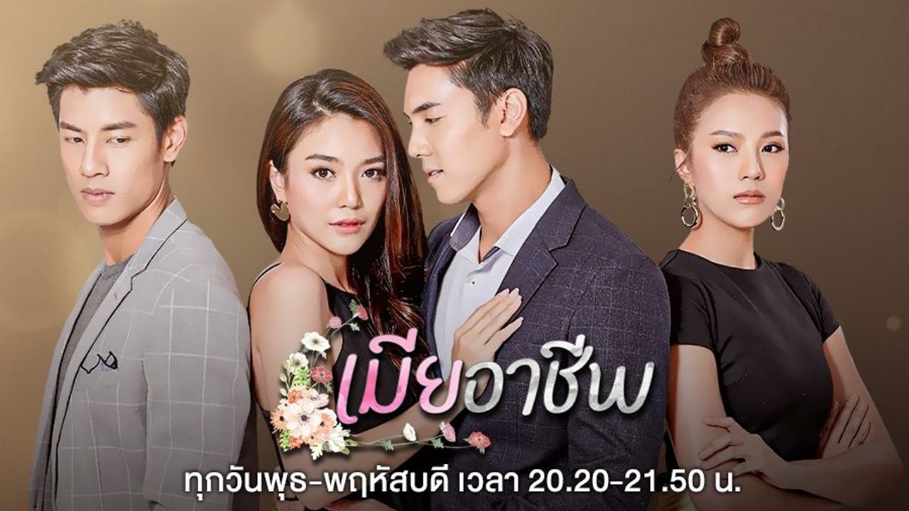 เมียอาชีพ|เมียอาชีพ