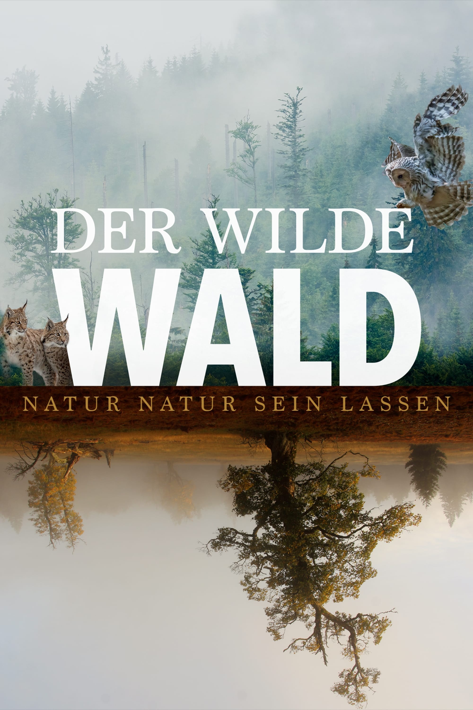 Der wilde Wald | Der wilde Wald