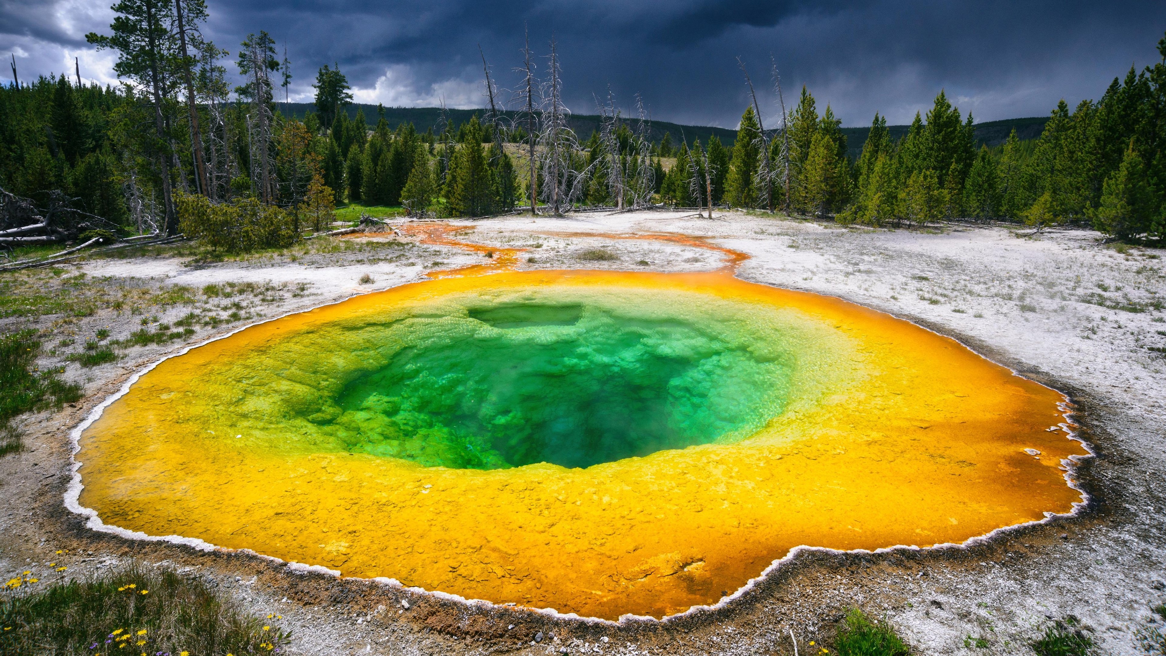 Mysteries of the Outdoors|Mysteries of the Outdoors