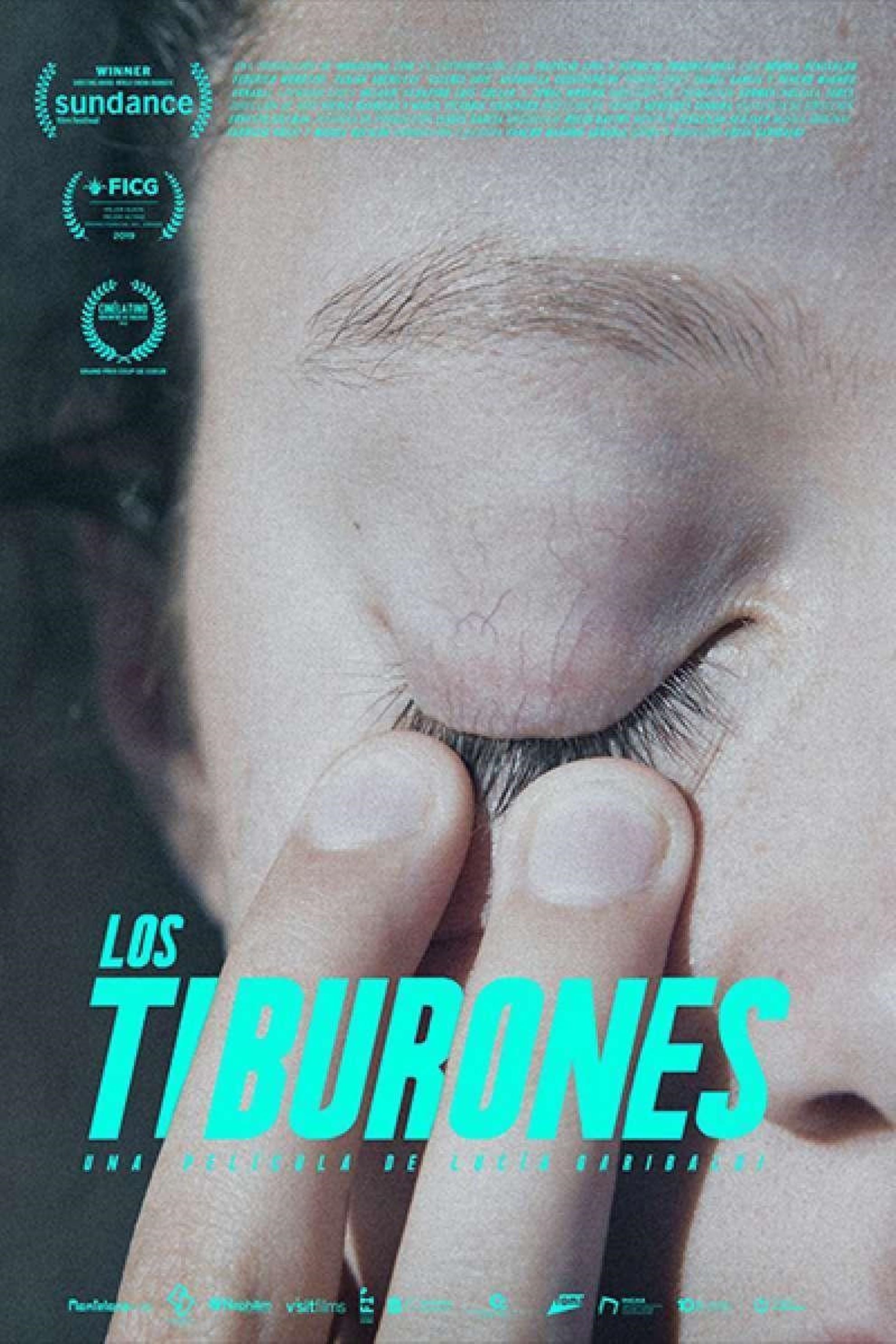 Los tiburones | Los tiburones