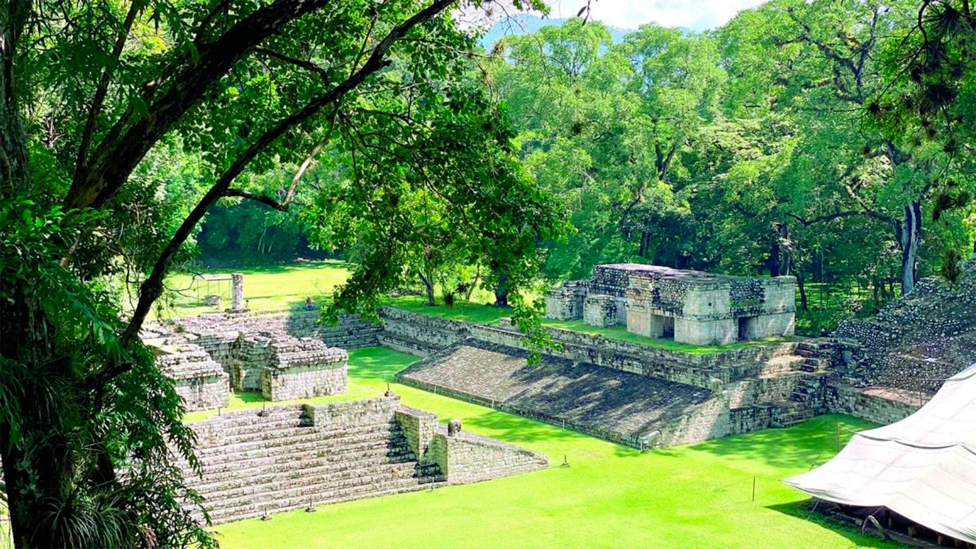 Fall Of The Maya Kings|Fall Of The Maya Kings