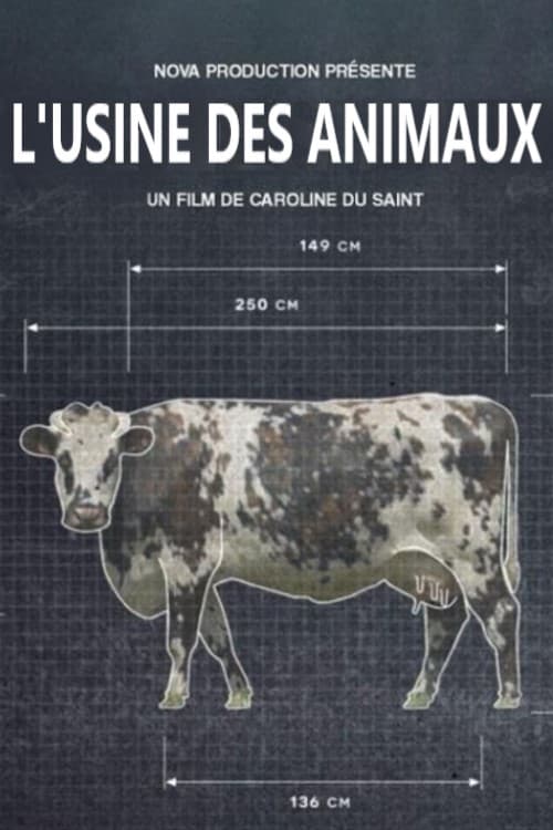 L'usine des animaux | L'usine des animaux