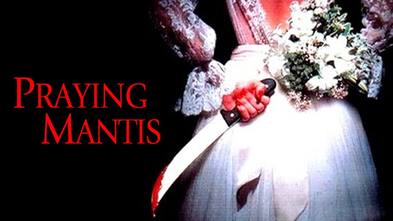 Praying Mantis|Praying Mantis
