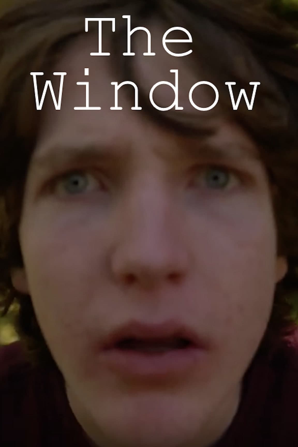 The Window