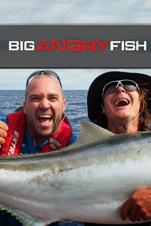 Big Angry Fish | Big Angry Fish