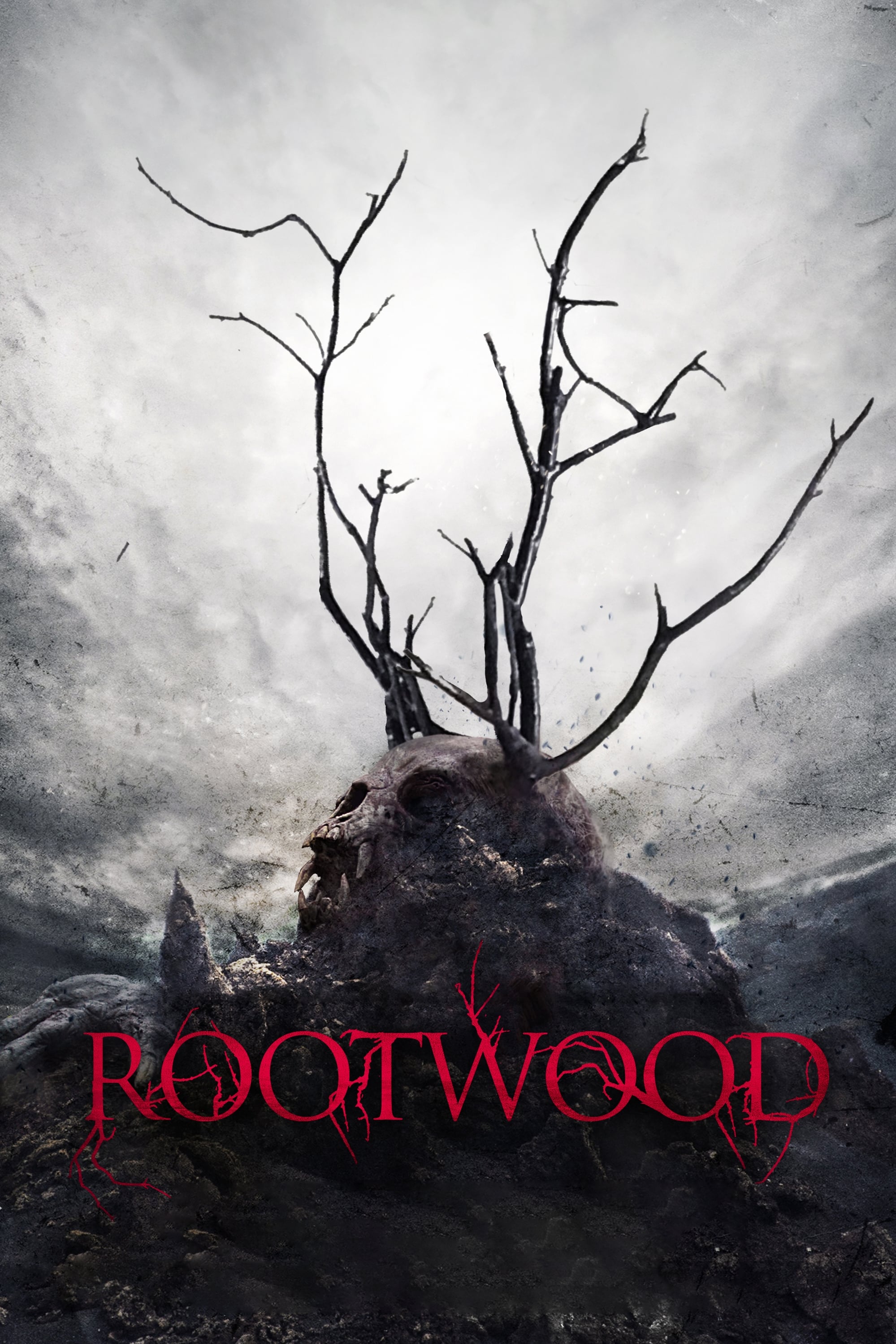 Rootwood | Rootwood