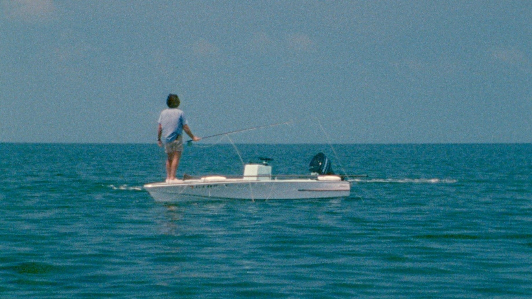 Tarpon|Tarpon