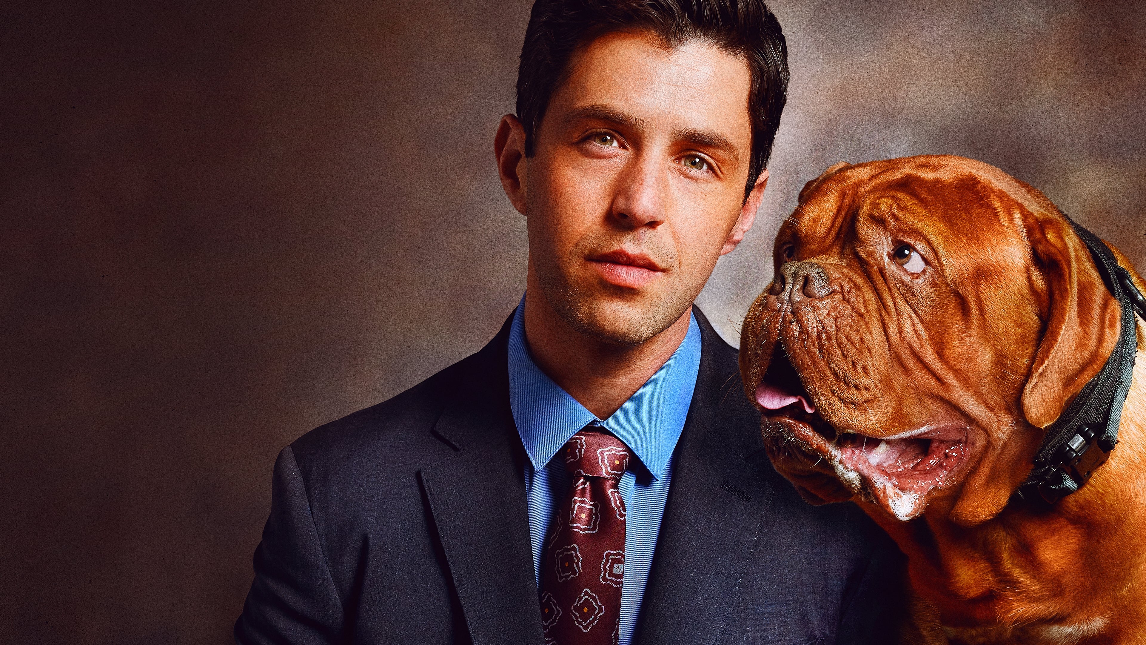 Turner & Hooch|Turner & Hooch