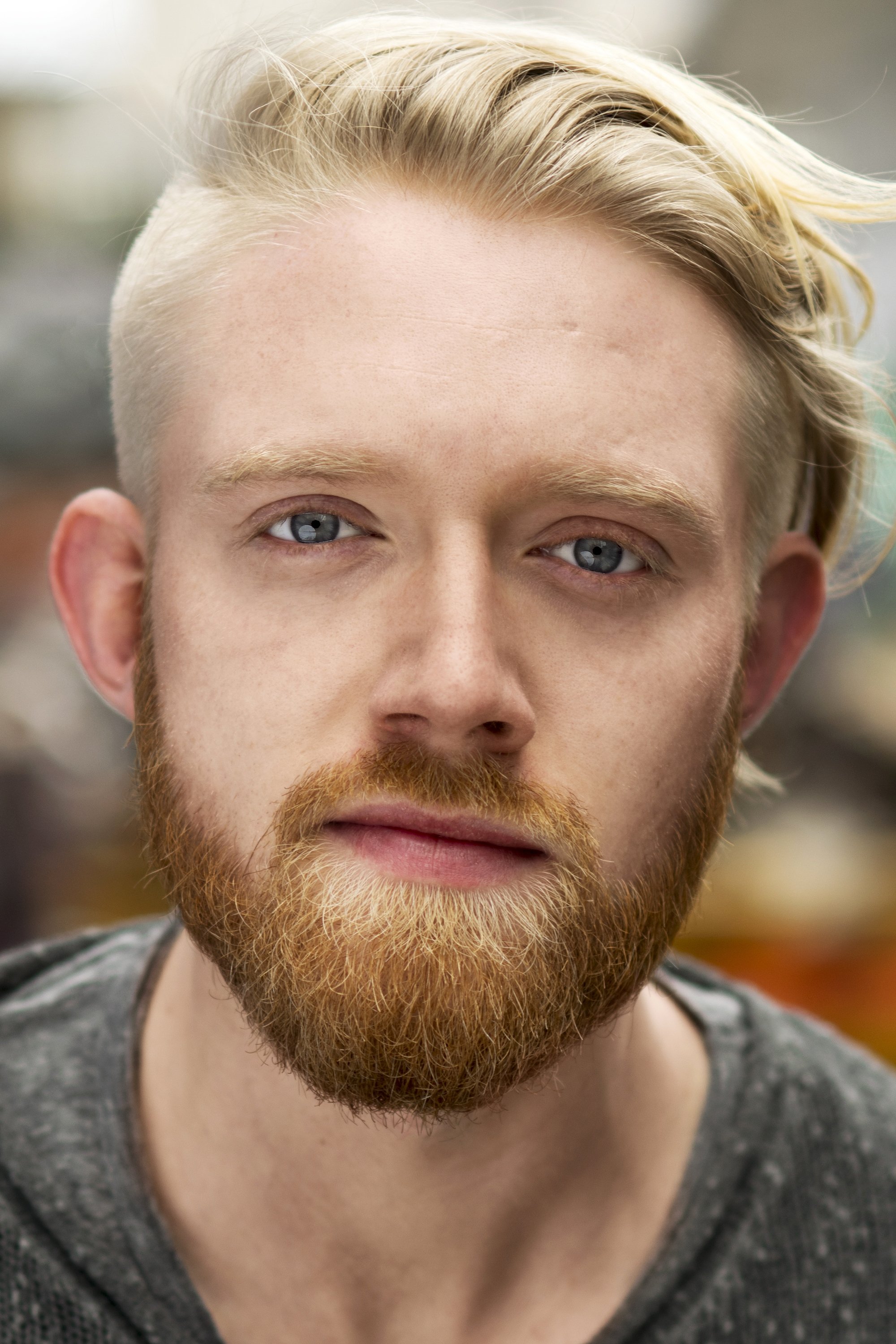 بازیگر Gavan O'Connor-Duffy  