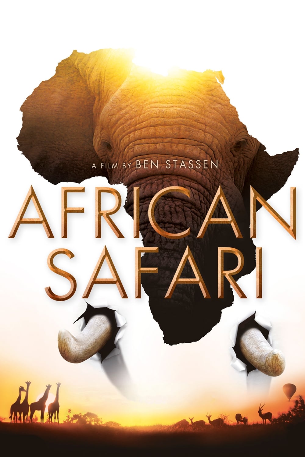 African Safari | African Safari